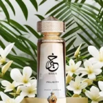 Khair Felicity – Paris Corner - Image 2