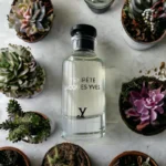 Tempete Jacques Yves – Fragrance World - Image 3